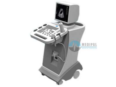Ultrasound Scanner Portable